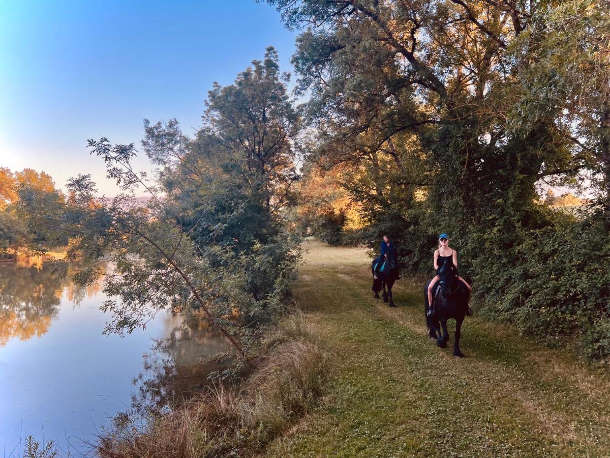 Domaine De Boulouch Hotel Лектур Екстериор снимка